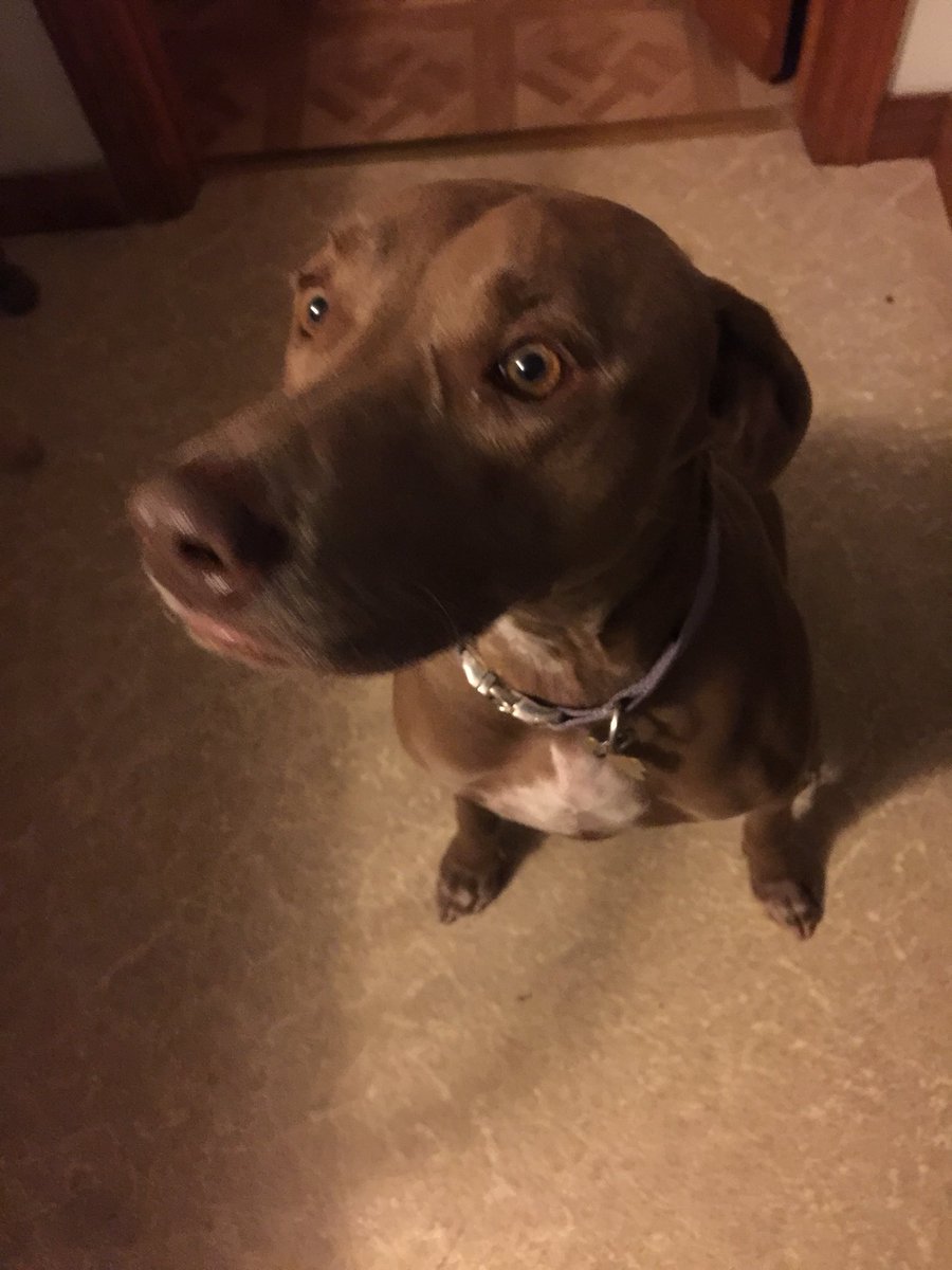 cassandracdiaz's tweet image. Is good for cleaning up peanut butter #kitchenhelp