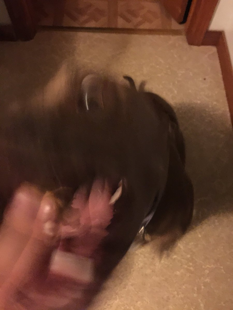 cassandracdiaz's tweet image. Is good for cleaning up peanut butter #kitchenhelp