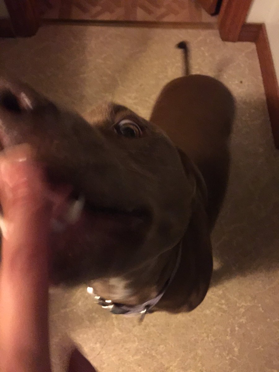 cassandracdiaz's tweet image. Is good for cleaning up peanut butter #kitchenhelp