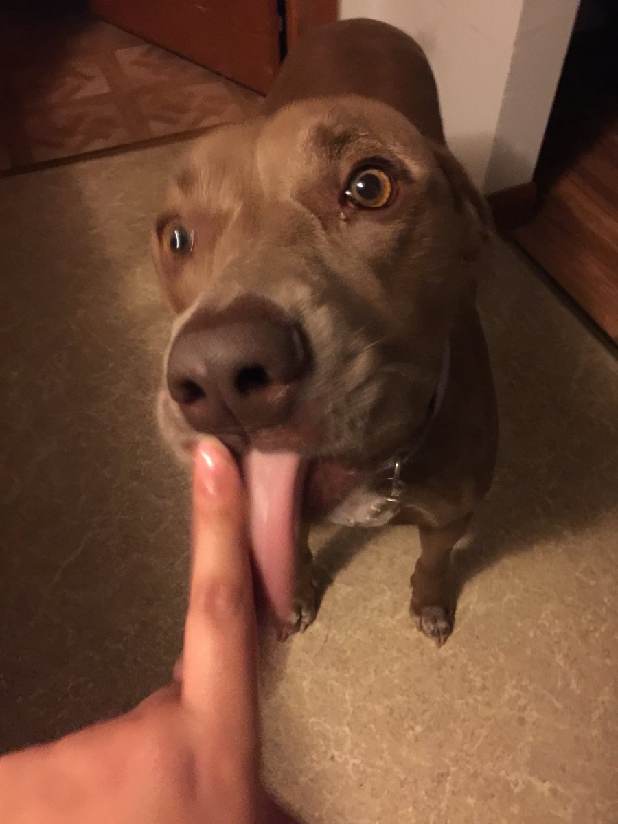 cassandracdiaz's tweet image. Is good for cleaning up peanut butter #kitchenhelp