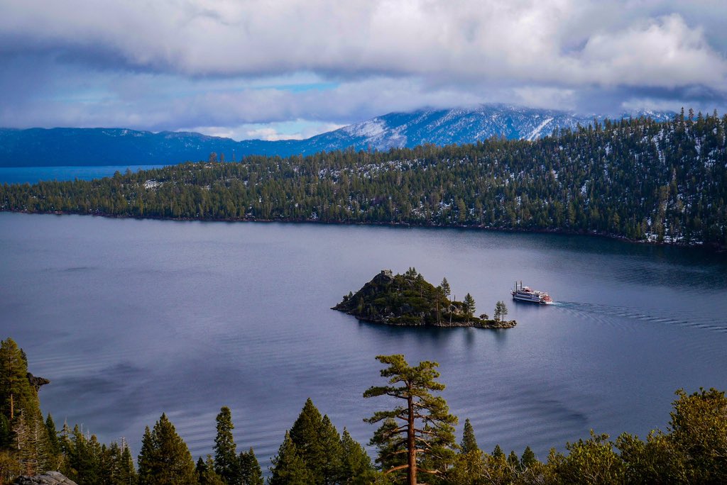 coachmorgan29's tweet image. Florida can’t touch this #taHome