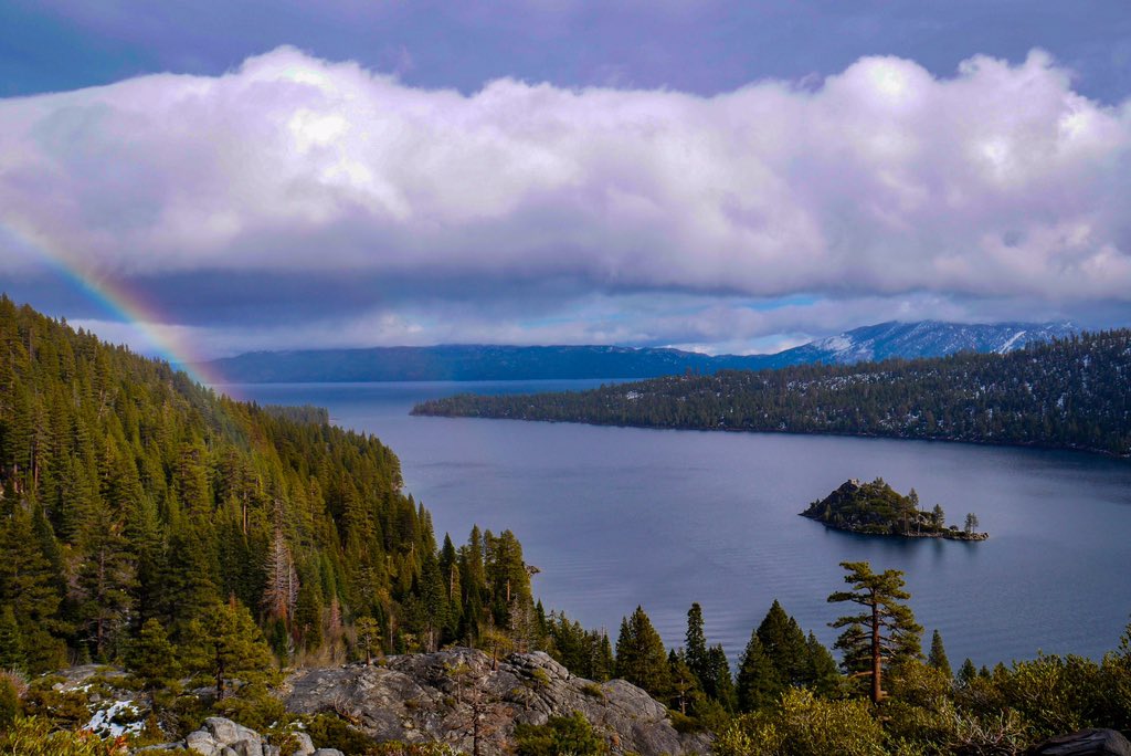 coachmorgan29's tweet image. Florida can’t touch this #taHome