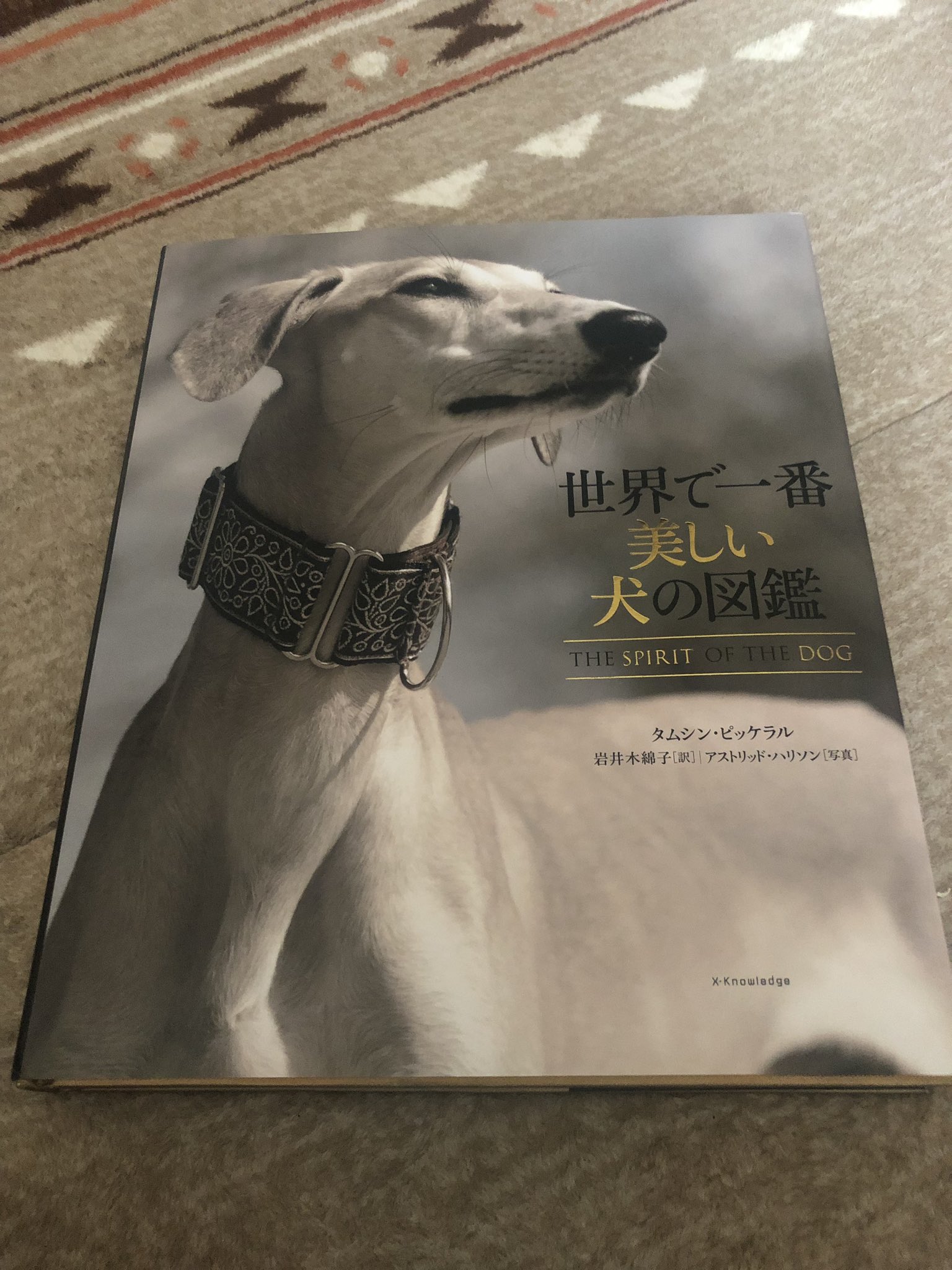 世界で一番美しい犬の図鑑 Twitter Search Twitter