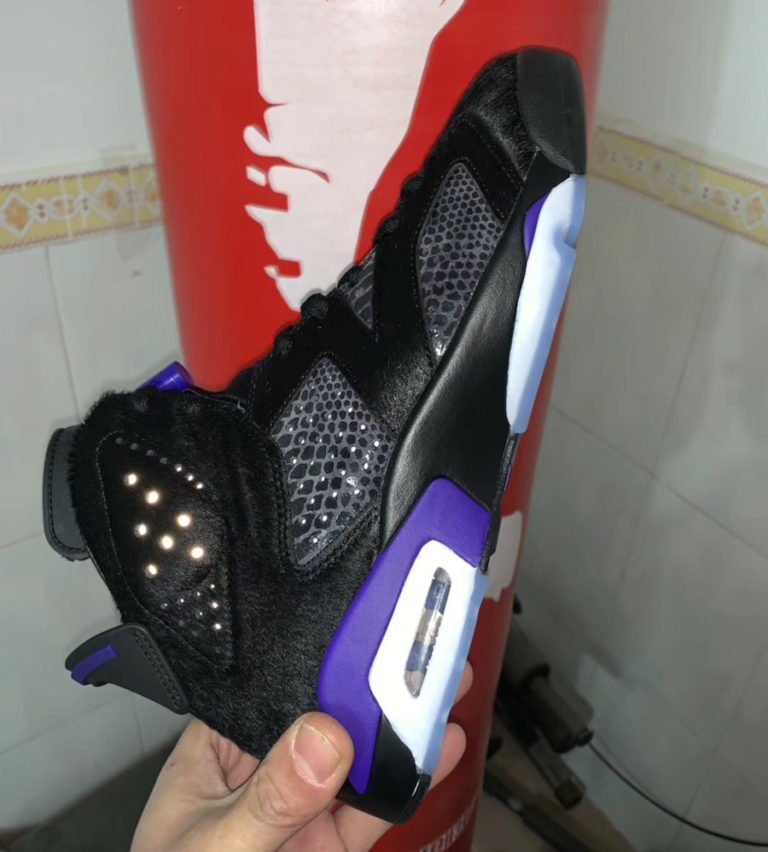 pony jordan 6