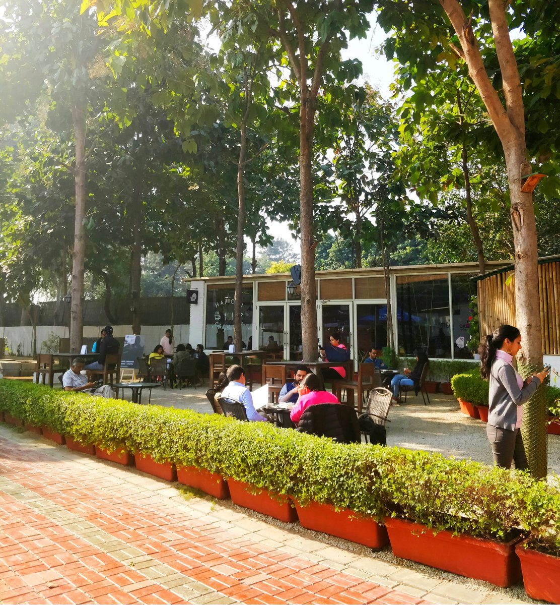 hamonicafeggn's tweet photo. Basking the winter sun, eating a hearty breakfast is mostly what Sundays are all about...do all of that with us! https://t.co/CZVCk7r3VU