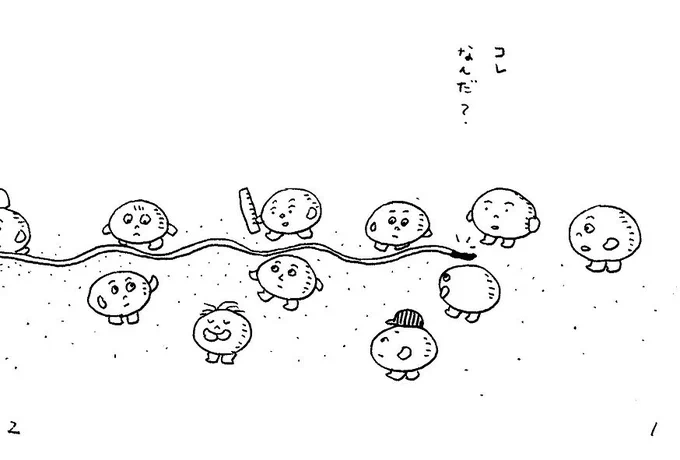 これなんだ?① 