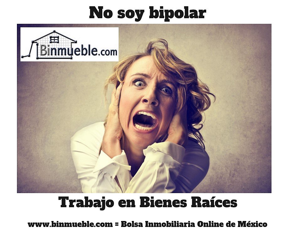 Binmueble.com tweet media