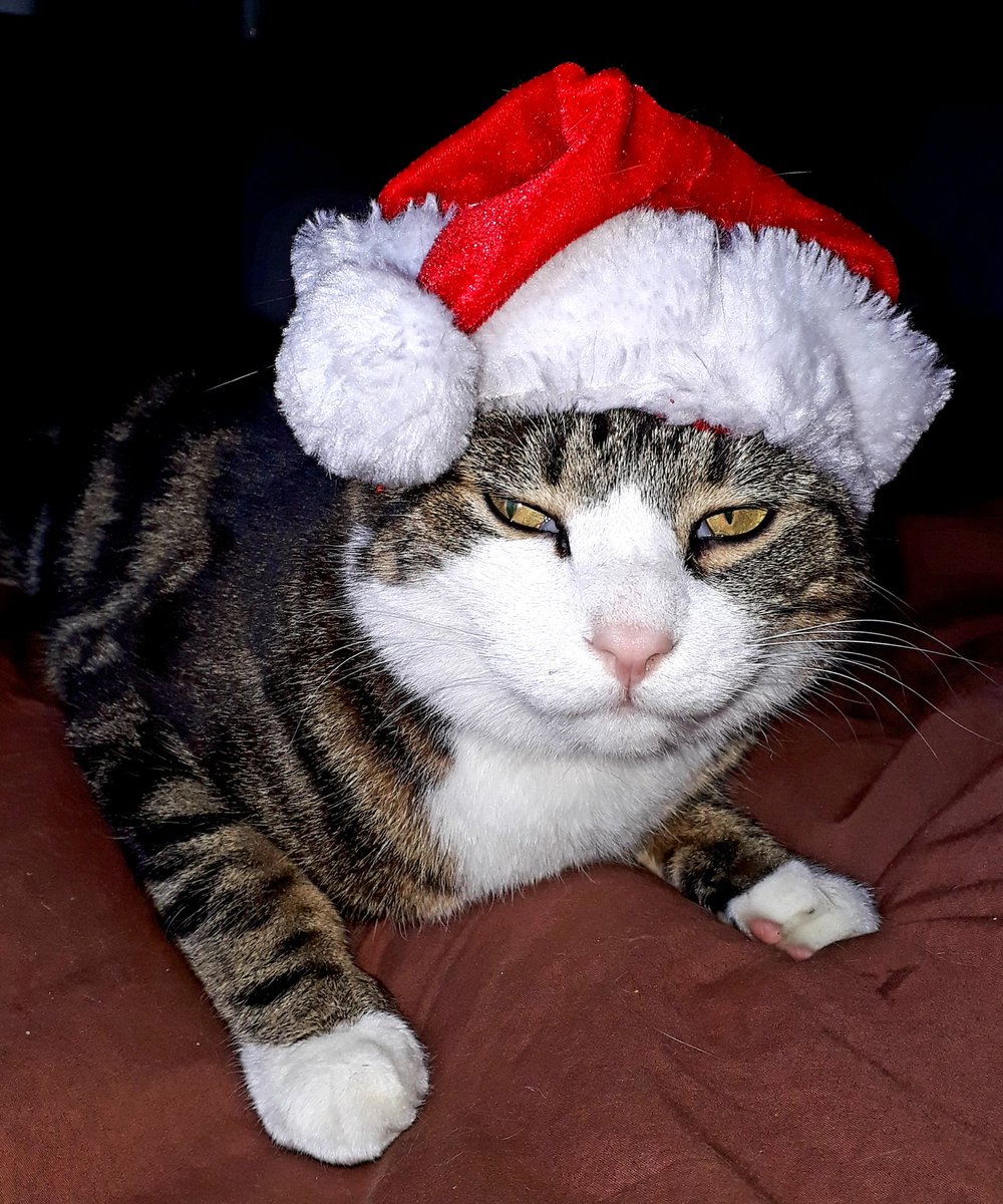 #furrysanta