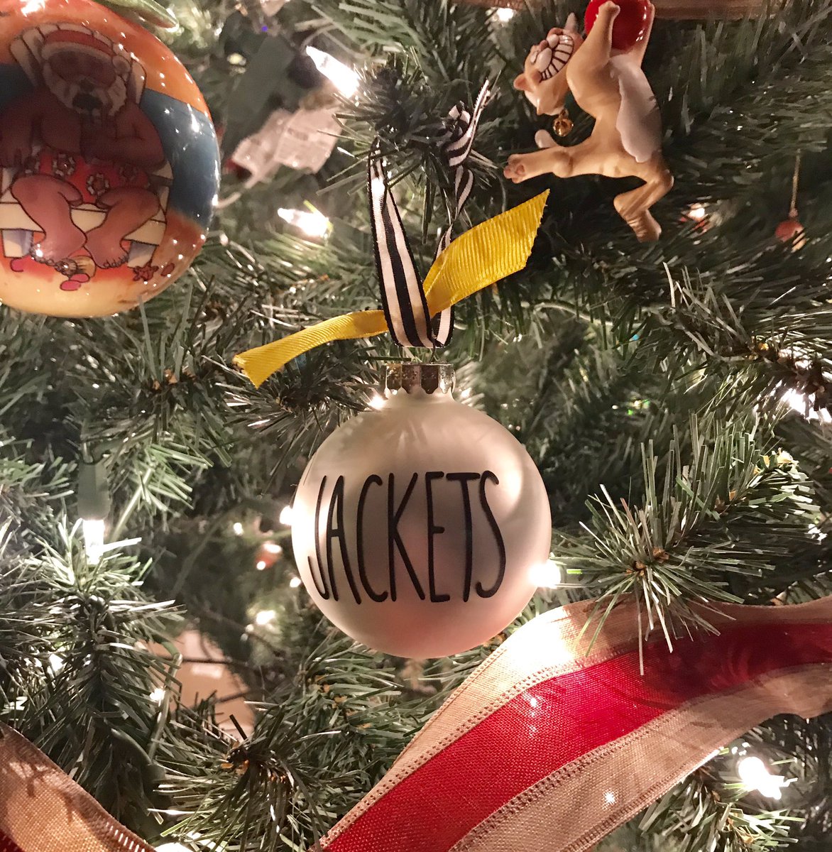 wcsFvHsdd's tweet photo. From my heart to yours....Wishing you a restful winter season. You earned it Jackets. #ImGratefulForYou https://t.co/usF2s76m5f