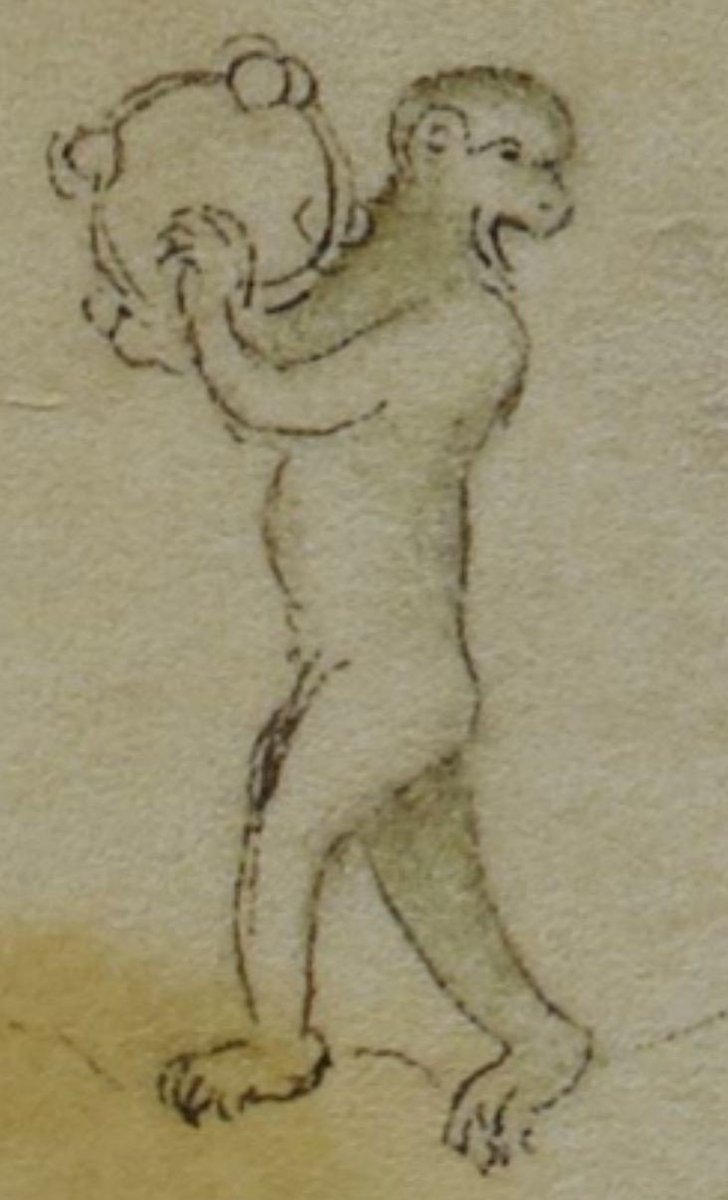 KPethainou's tweet photo. I just realised I missed yesterday's #medievaladvent, so here's another monkey for your pleasure.
Psalter of Queen Mary, 1310-20. British Library, Royal MS 2 B VII. #medieval #marginalia #illumination https://t.co/nKt2utZpCN