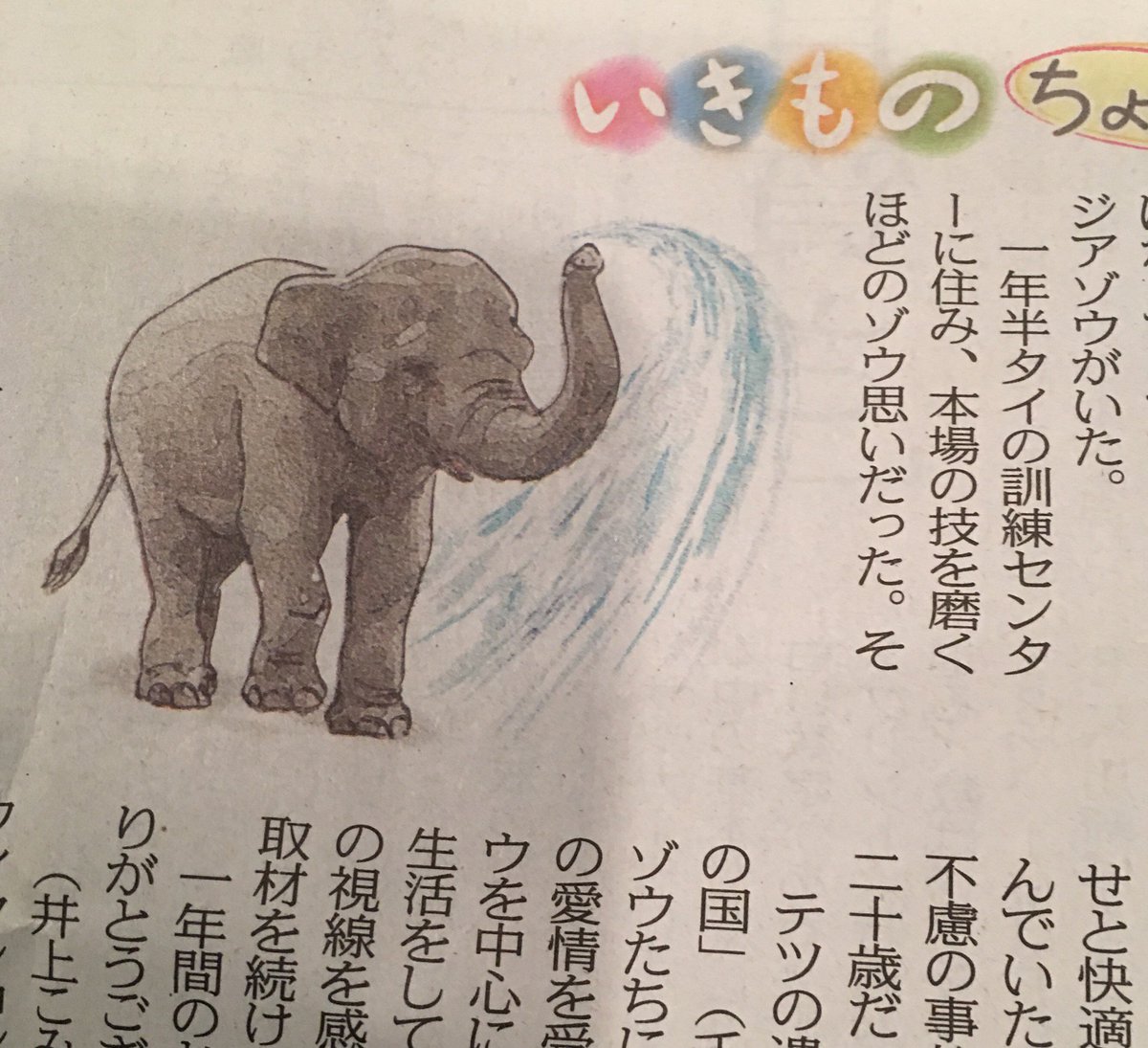 志茂田景樹 楽しみに読んでいたt紙夕刊連載の いきもの ちょっと いい話 が終了した 最終回は映画 星になった少年 の感動を思い起こさせてくれた ただイラストに違和感があった 背中や 耳など大きな特徴はアジアゾウのものだが 尻尾はどう見ても 志茂田景樹 楽しみに読んでいたt紙夕刊連載の いきもの ちょっと いい話 が終了した 最終回は映画 星になった少年 の感動を思い起こさせてくれた ただイラストに違和感があった 背中や 耳など大きな特徴はアジアゾウのものだが 尻尾はどう見ても