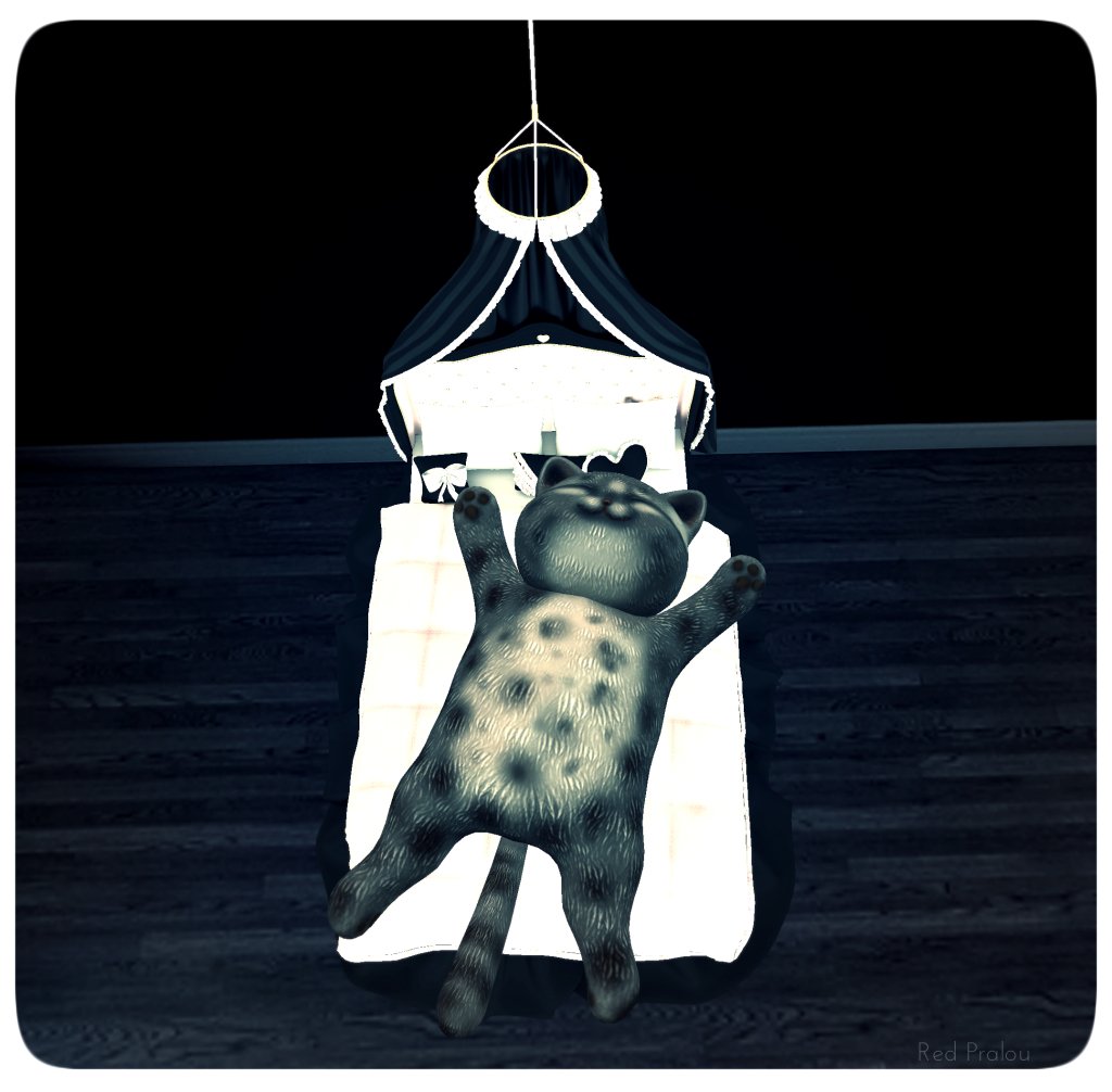 RedPralou's tweet image. 00814 | Who’s That Sleepin’ In My Bed?! thewillynillywitchblog.wordpress.com/2018/12/23/008…