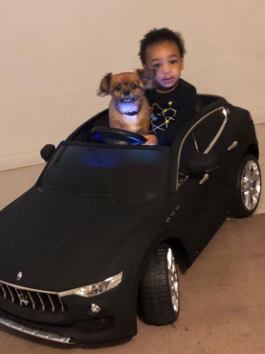 LoyaltyJack's tweet image. Mood