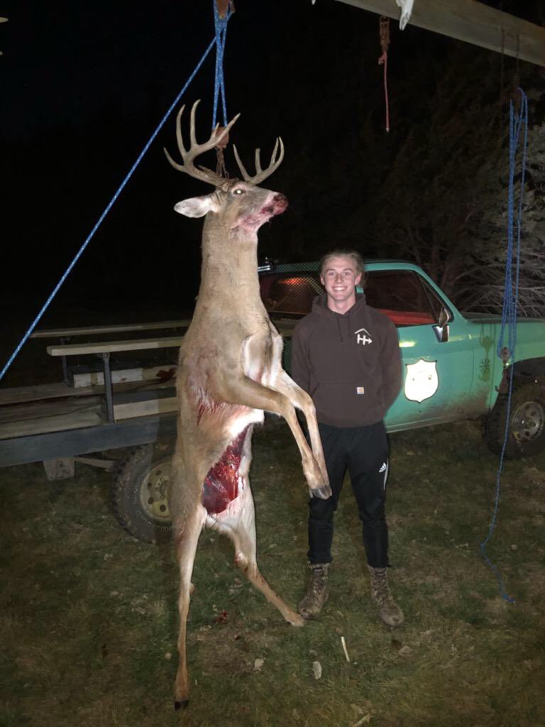 LT Archery tweet media