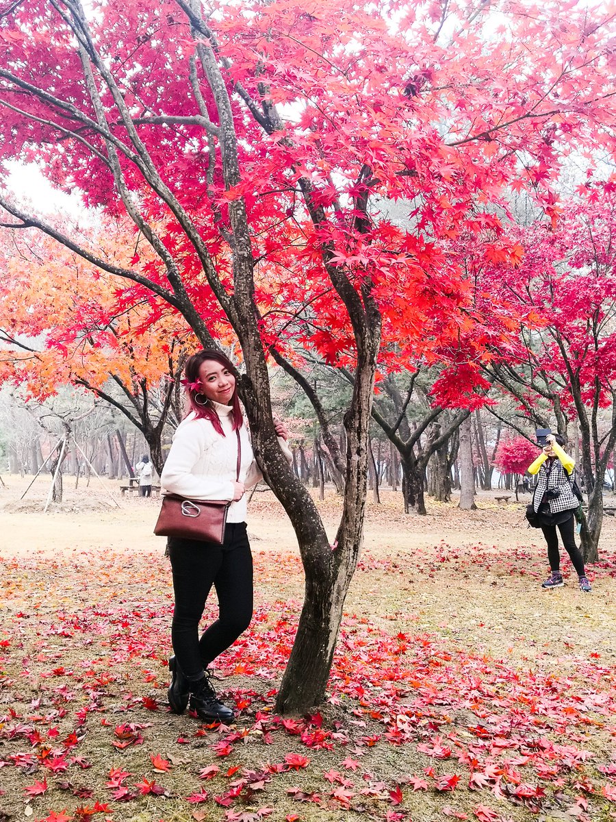 sweetyyeahm's tweet photo. I wanna go baccckkk! #chasingAutumn https://t.co/z8jVaZ37wI