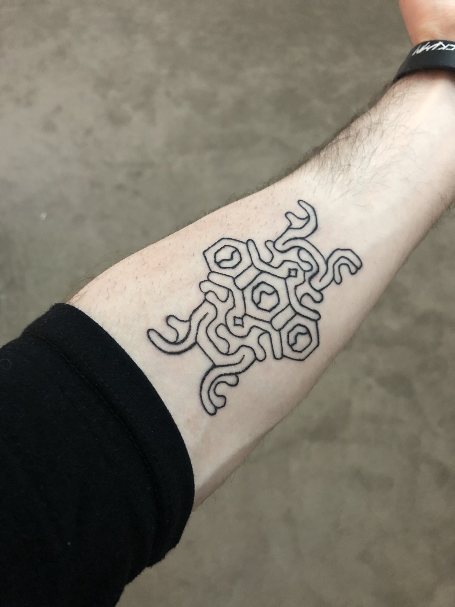 Jacksepticeye on Twitter: "Finally got my Shadow of the Colossus tattoo