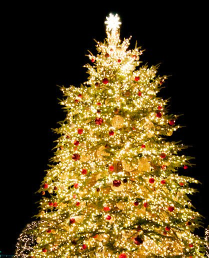 O Xrhsths 暦生活 こよみせいかつ Sto Twitter クリスマスツリー クリスマスを象徴する きれいなクリスマスツリー クリスマスツリーの起源は様々ありますが 木の間から見える星の美しさを再現しようと飾り付けをしたという説が一番ロマンチックで美しく 好き O Xrhsths 暦生活 こよみせいかつ Sto Twitter クリスマスツリー クリスマスを象徴する きれいなクリスマスツリー クリスマスツリーの起源は様々ありますが 木の間から見える星の美しさを再現しようと飾り付けをしたという説が一番ロマンチックで美しく 好き
