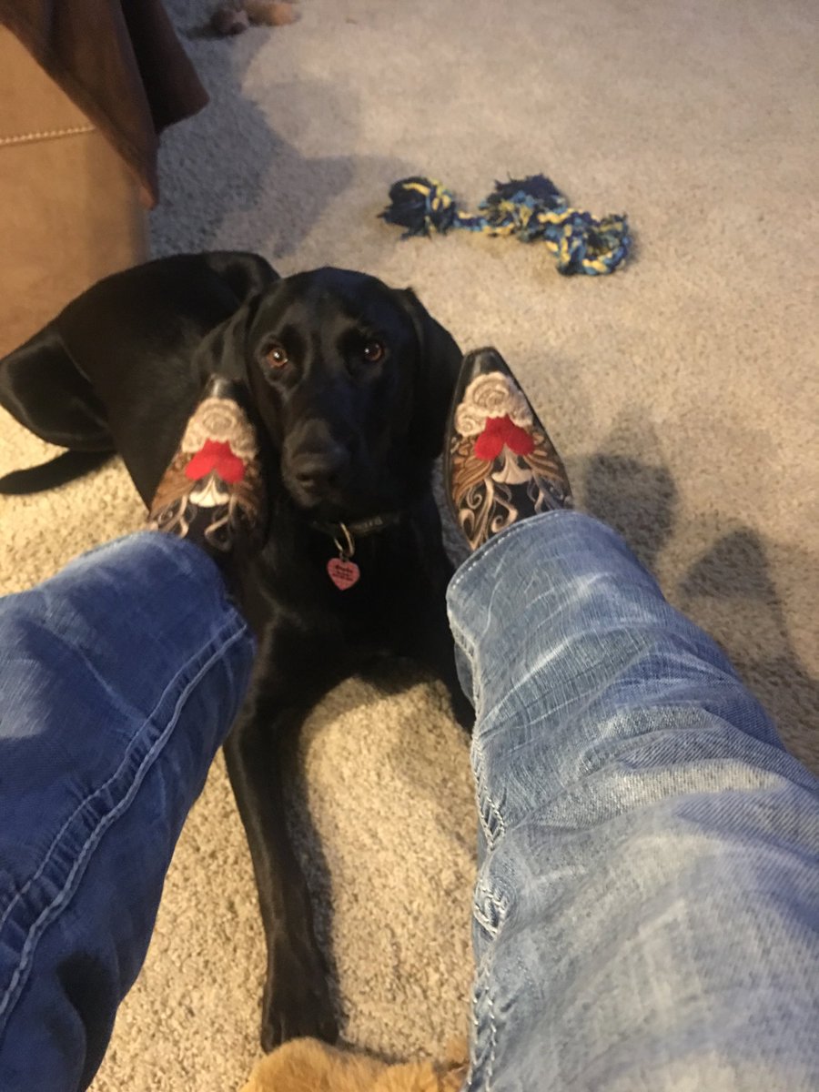 ClintonKyme's tweet image. How sweet