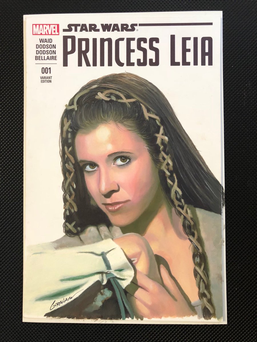 grahamart's tweet photo. Some recent Custom Star Wars  Princess Leia comic book covers https://t.co/hT26qxUMHu