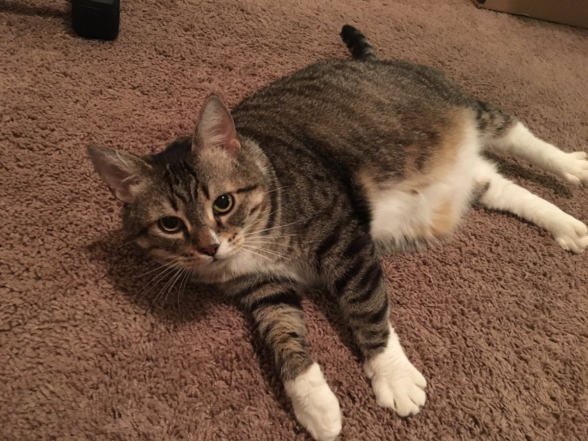 Ryan Pearson tweet media