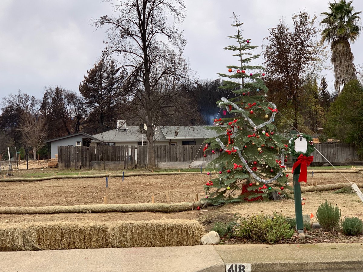 CameraGuyDave1's tweet photo. #CarrFire that devastated Redding in July cant take away  #HolidaySpirit House gone #Christmas tree decorated! #ReddingStrong ⁦@CBSSacramento⁩ ⁦@GoodDaySac⁩ ⁦@largesteven⁩ ⁦@GDSTracyKetchum⁩ ⁦@DinaKupfer⁩ ⁦@CambiBrown⁩ ⁦@GoodDayTraffic⁩ https://t.co/BRO7ptKzOs