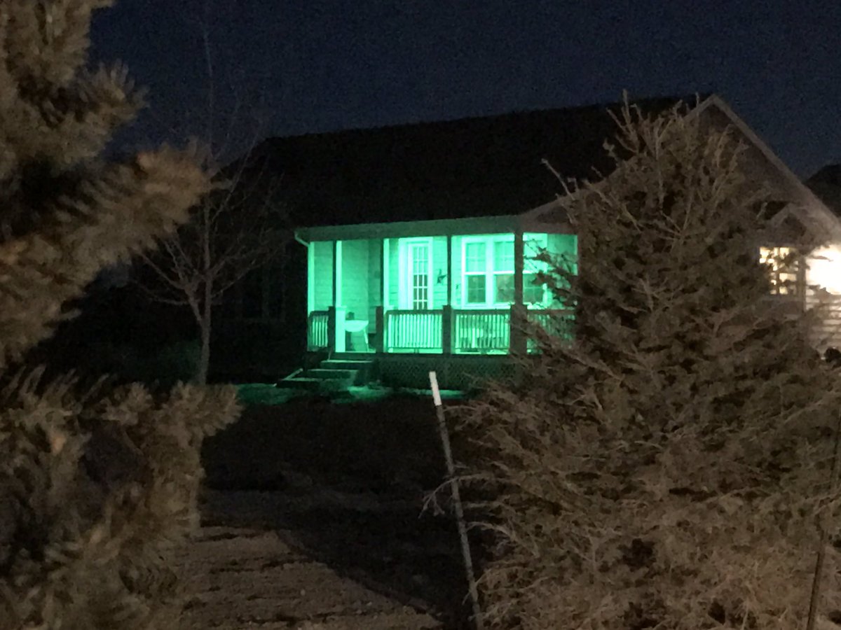 marcarnusch's tweet photo. That moment when you realize the lack of Christmas lights makes your house look more like a dispensary....
#NeedMoreLights #NotWhatWeWereGoingFor #WeOnlyHaveKochiaWeed https://t.co/2mUYPHVnEH