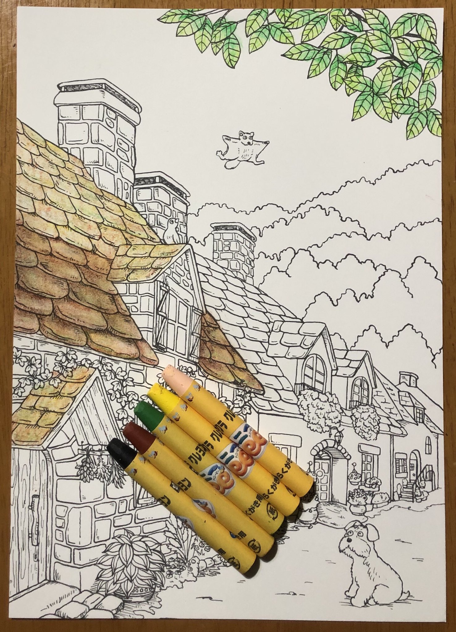 ドリス セリアの塗り絵を子供向け落書き用クレヨン 水で落とせるやつ で水彩塗りしています 黄土色やこげ茶がないので写真の5色を塗る 溶かす 乾かす 重ね塗り 溶かすを繰り返して塗っていってます 上の方はまだ下塗り この後重ねていくと下のように