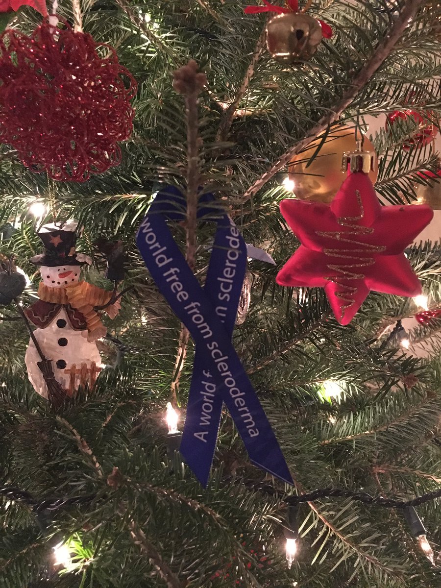 SoniaMota16's tweet photo. The #BlueRibbon is a symbol of hope for #scleroderma patients including my mother. I’ve hung my ribbon on my Christmas tree as a reminder that one day there will be #aworldfreefromscleroderma @SclerodermaCAN @scleroderma_sso #hardword #harderdisease #RareDisease https://t.co/P8ojnMLzD6
