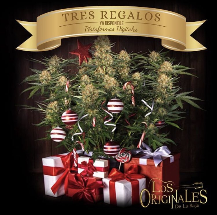 #TresRegalos lo mas nuevo de #LosOriginalesDeLaBaja ‼️ Disponible ya!! En todas las plataformas digitales! 🎵 #PigSound #Oplaai