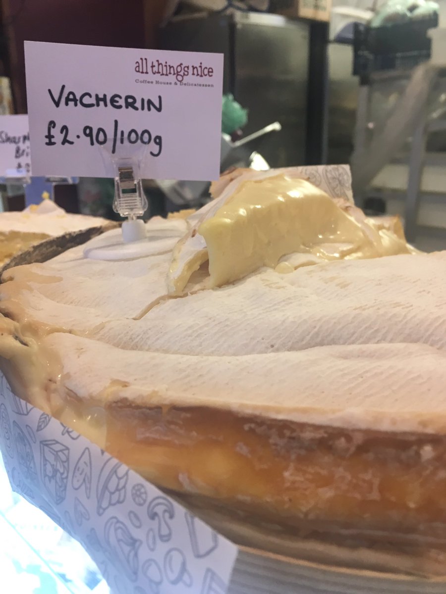 All Things Nice tweet media