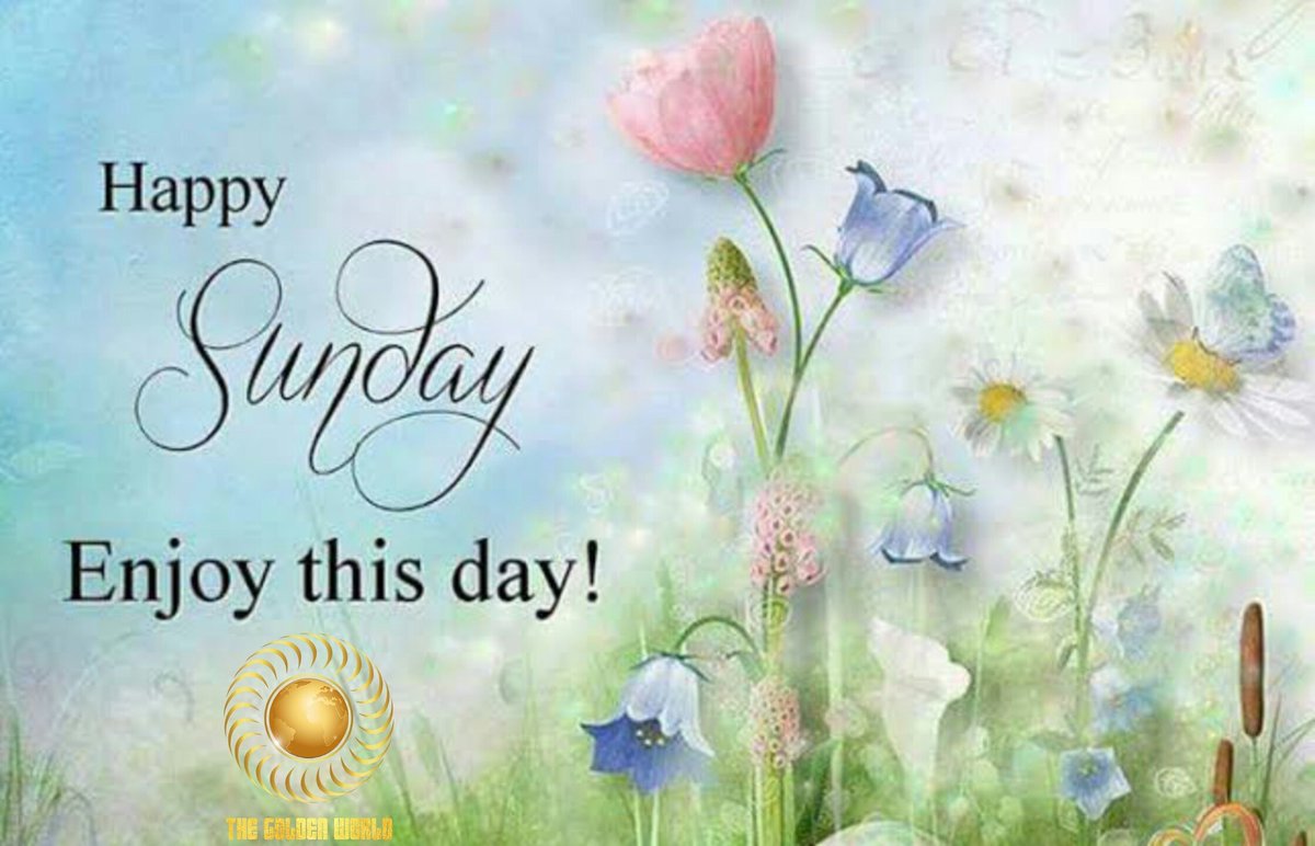 Golden World Ailesi olarak İyi Pazarlar Dileriz🌞🌞🌞 #goldenworld #organisation #football #trainingcamps #belek #side #lara #antalya #turkey #devrearası #kış #kamp #futbol #hazırlık #maçları