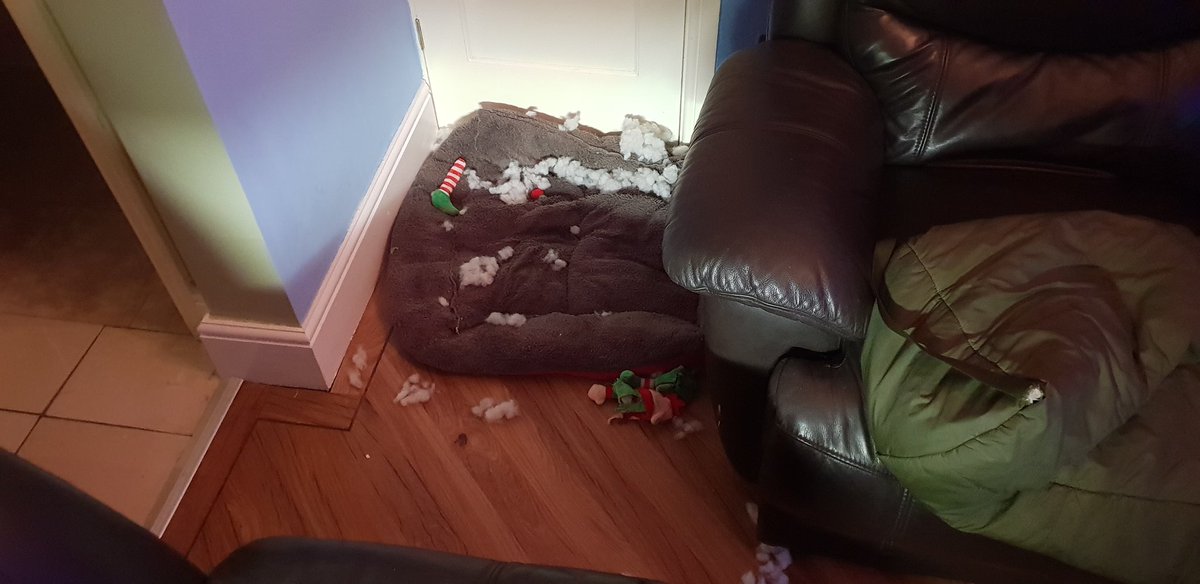 Stewy_BoxingNAV's tweet photo. The latest on the murder of the Christmas Elf. We have the suspect in custody haha. https://t.co/0cM5Ll2IU2