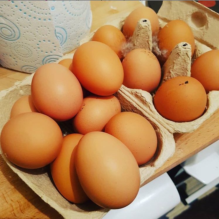 MarriagesFeed's tweet photo. Time for some festive baking? 
#repost #Christmas #Eggs #FedByMarriages @Marriages_flour 
.
.
.

urban_chickens.uk - Think I need to bake some cakes with all these eggs #eggs#fresheggsdaily #chickens #layinghens #petchickens #growyourownfood #gardeninspo #marriagesfeed https://t.co/xpP8tuIOOA