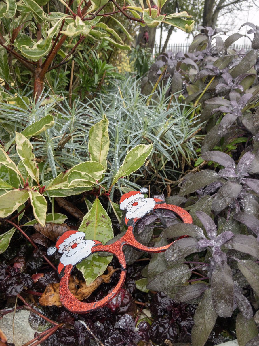 It’s Christmas time. How can we tell? Even the litter at the train station is festive! <a href="/EMCommunityRail/">EMR Community Rail</a> <a href="/EMTrains/">EMTrains is now EMR</a> 

Happy holidays from Syston in Bloom!