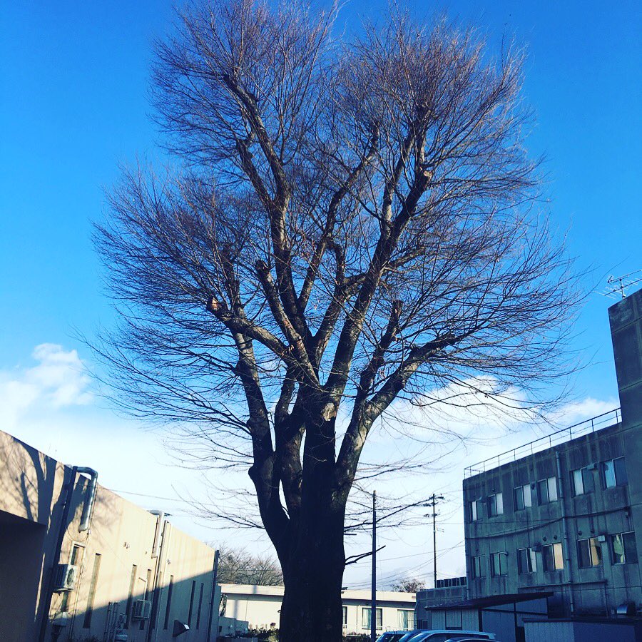SatoFrelida's tweet photo. https://t.co/jra3JxVs5G