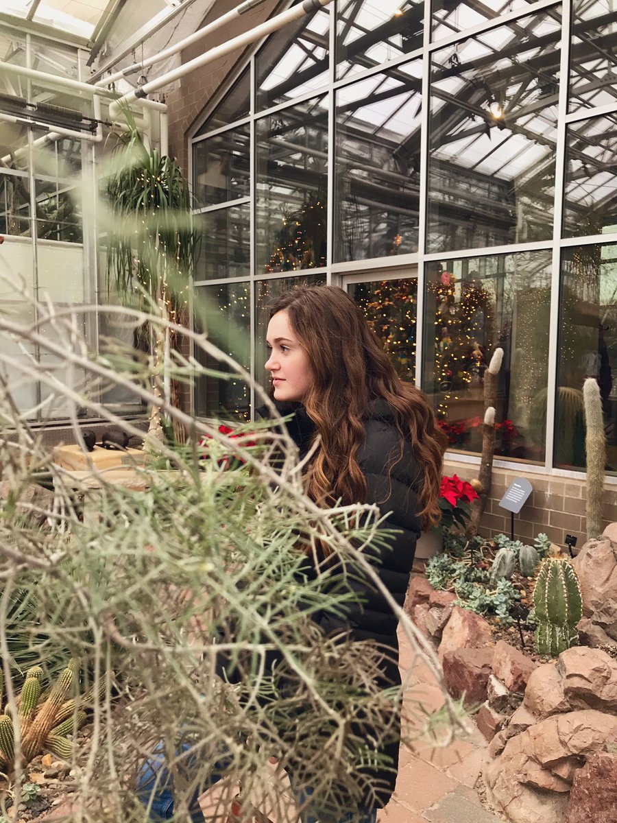 mjpurwin's tweet photo. Found my present behind this tree. 😉 https://t.co/CfoZR2g5w6