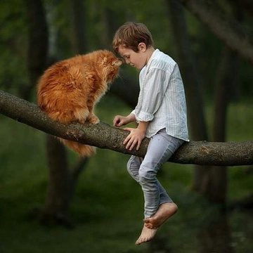♥️How beautiful to find a heart
that loves you, without asking
you for anything, but to be
okay...

- Khalil Gibran