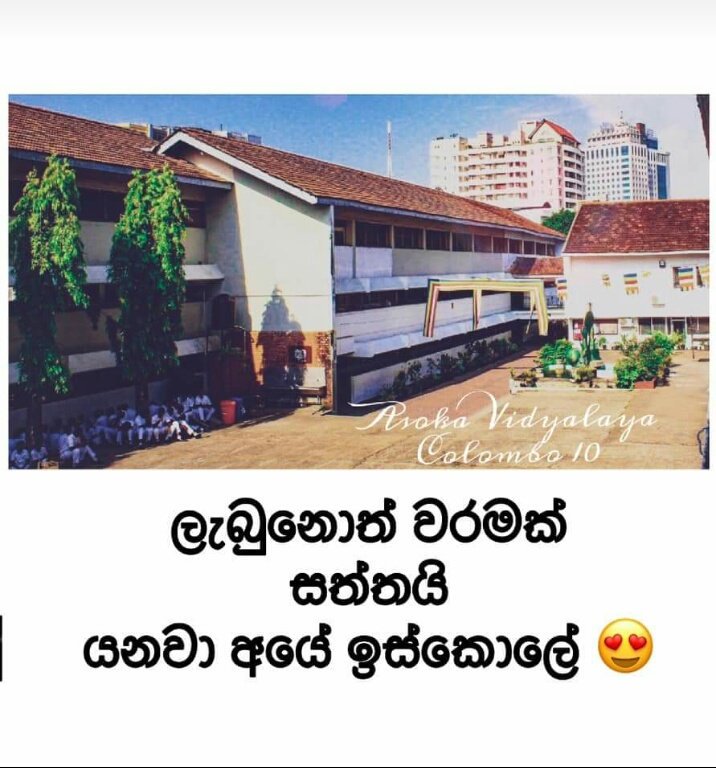 iam_prasha_'s tweet image. අසොකේ කියන්නේ අපිට ඉස්කොලයක් නෙමේ එක අපේම ගෙදරක්.... සතුට පිරිච්ච යාලුවො පිරිච්ච පිස්සු ආතල් දලා ඉගෙනත් අරගෙන අද කෙලින් හිටගෙන ඉන්නේ අසොකේ නිසායි..
#asokacollege #colombo10 #motherasoka #loveu #respectyou #likehome
