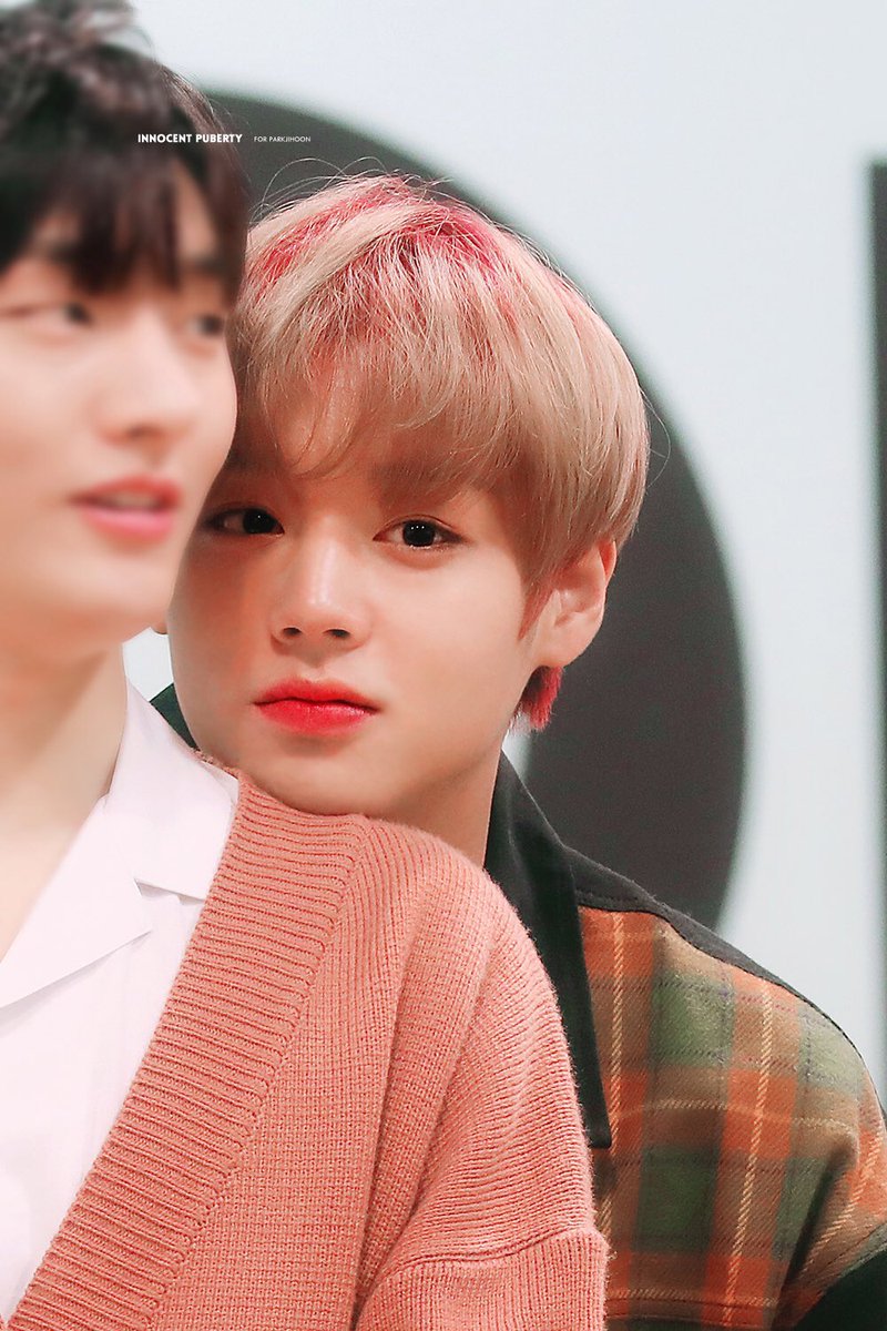 InnocentPuberty's tweet photo. 181222 일본팬싸 
인간 수밀도🍑🍑 #박지훈 #PARKJIHOON https://t.co/iI4wmSqDdM