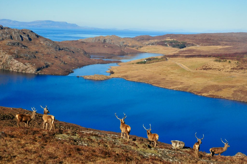 Diabaig, Torridon.  I was in the right place at the right time. 😊
