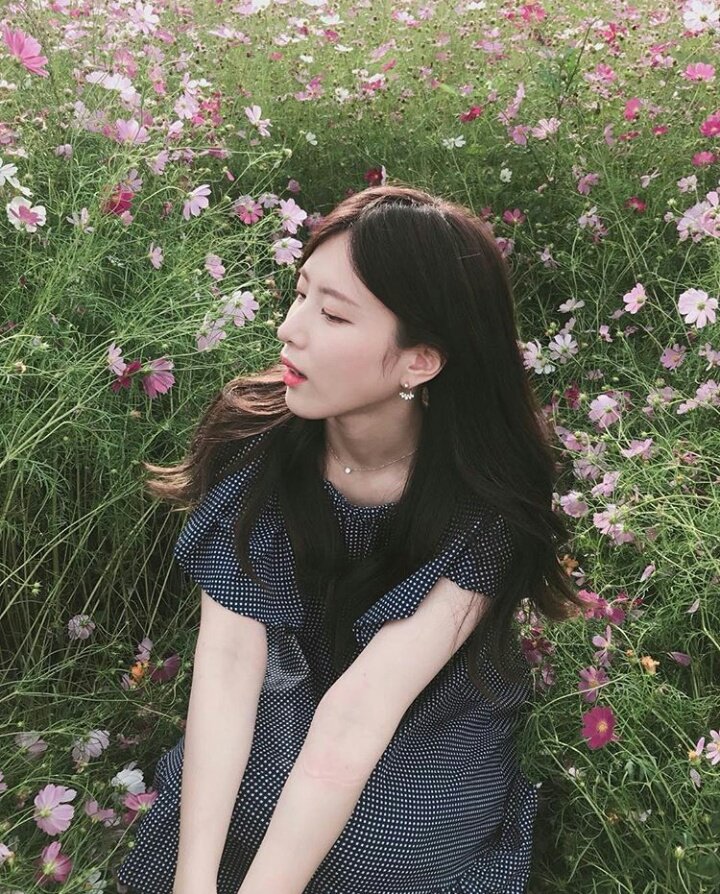 POPOHAEIN TH💋 tweet media