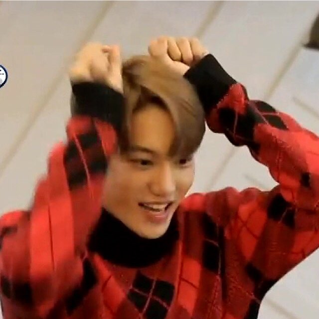니나 :) tweet media