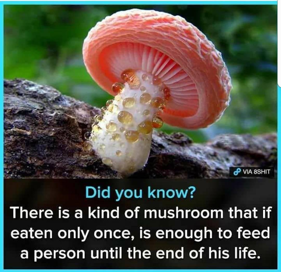 HumourScience tweet picture