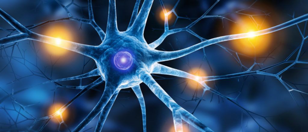 SpirosMargaris's tweet image. Forget #DeepLearning, 
#UnsupervisedDeepLearning is the future 
buff.ly/2EGw8og #fintech #insurtech #AI #ArtificialIntelligence #MachineLearning #DeepLearning #robotics @michaelbaxter_ @InformationAge @JohnSnowai @pierrepinna @jblefevre60 @sallyeaves @antgrasso @UrsBolt