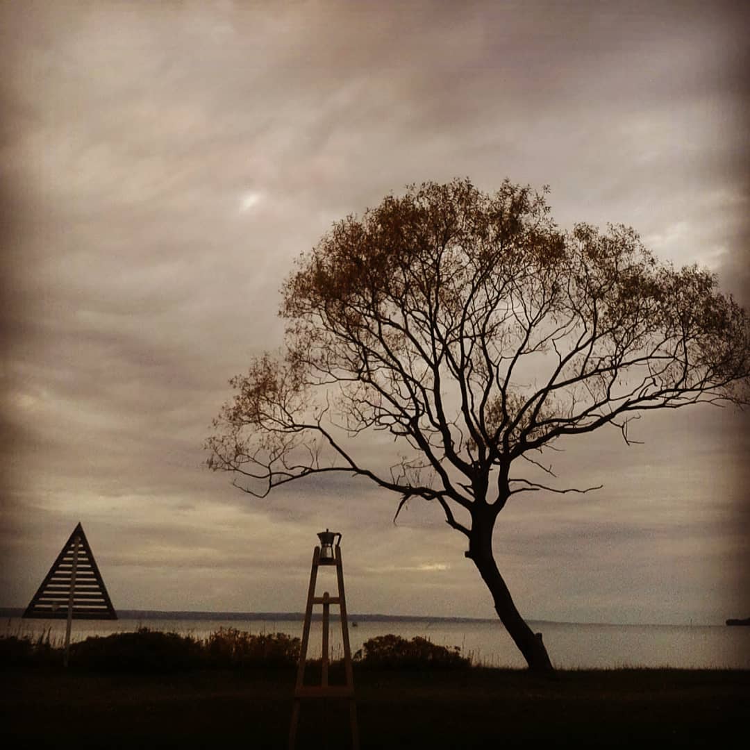 1WindowGallery's tweet photo. 🌳~ #igFilterStudy #Hefe #Moka ~ 2⃣3⃣ Dec 2018 
#1WindowGallery @instagram &amp; #Mellyrn @ellohype 
https://t.co/waGg3eNUQX  

📷 https://t.co/sxF1XBcdj7 
#LetsGuide #Jönköping #Huskvarna #Småland #Götaland #Sweden  #1Tree #TreeArt #PhotoArt #Tree https://t.co/oXA0AiNMl2