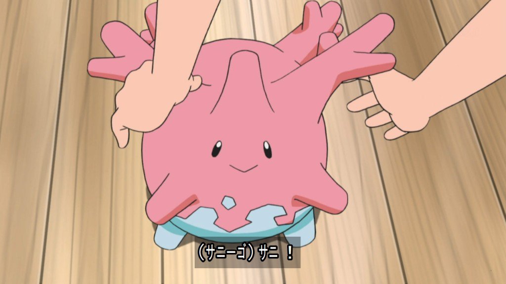 Twitter 上的 雪光 サニーゴかわいい Anipoke T Co Kbe5qsge63 Twitter