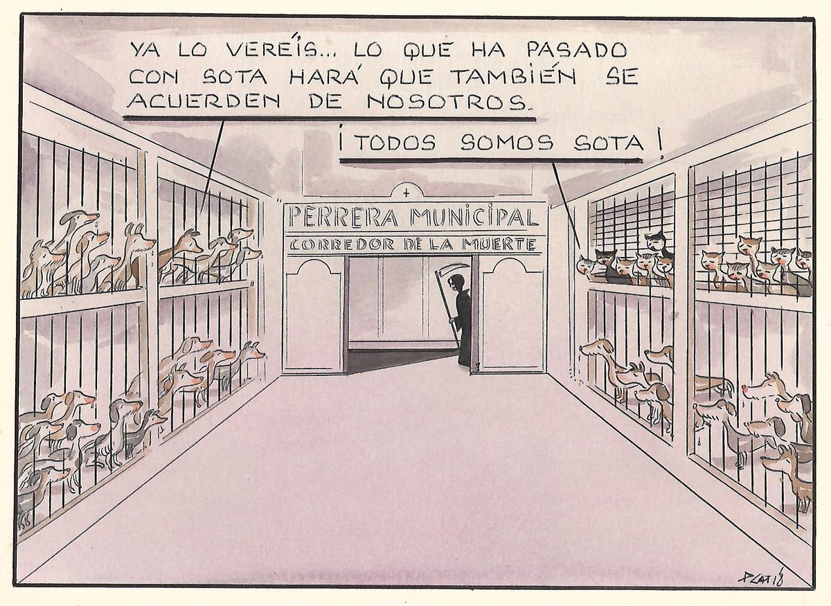 pacocatt's tweet image. Mi viñeta de hoy Domingo 23 de diciembre de 2018.
Sota es ya un símbolo que puede ayudar a ir desterrando la pesadilla de algunas perreras para seres tan inocentes como ella.