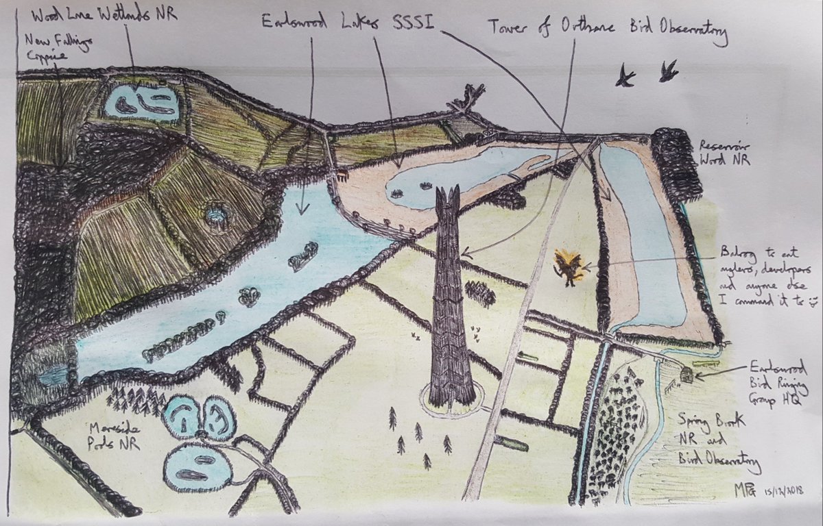 10,000th tweet! Just for a bit of light-hearted fun, here's a doodle I recently did of a fantasy Earlswood landscape. The Tower of Orthanc would be great for vismigging! 😅 #fantasy #escapefromreality #middleearthbirding #orthanc #balrog #birdobservatory #moreandbetterbirdhabitat