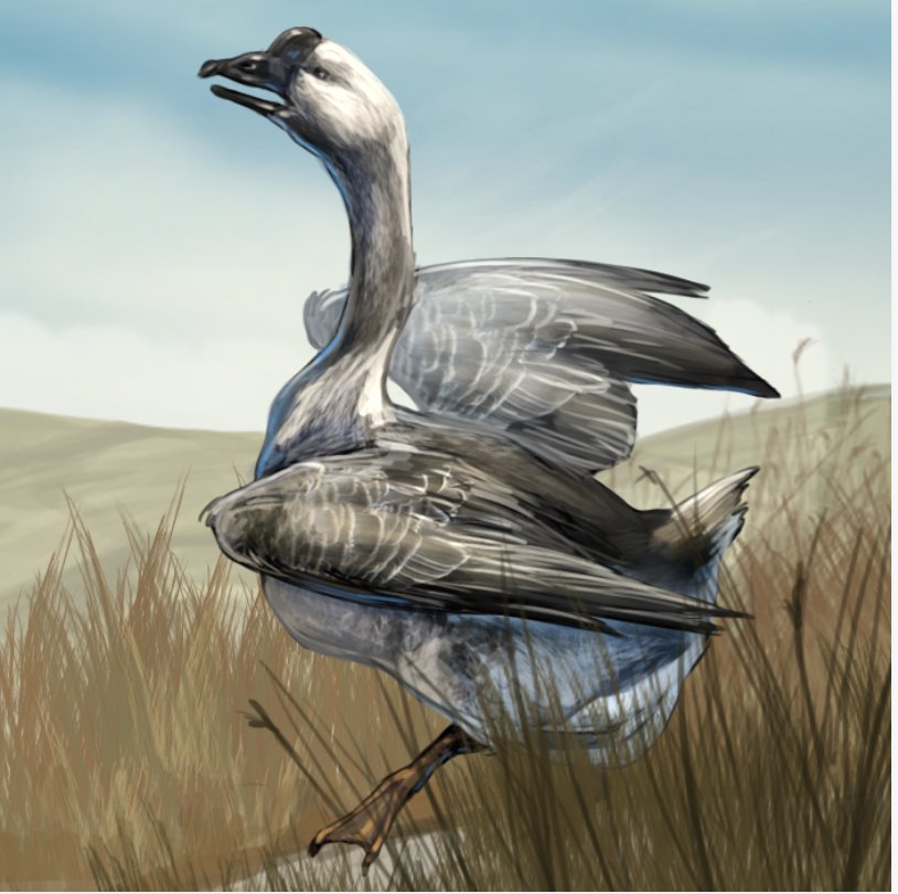 GoTAscent's tweet photo. For the eleventh Day of Winter, the King gave unto me, garnish goose a-cooking!  Head to our forums to get yours:
https://t.co/cGbm9QwKp1 https://t.co/XSfJOJQv4j