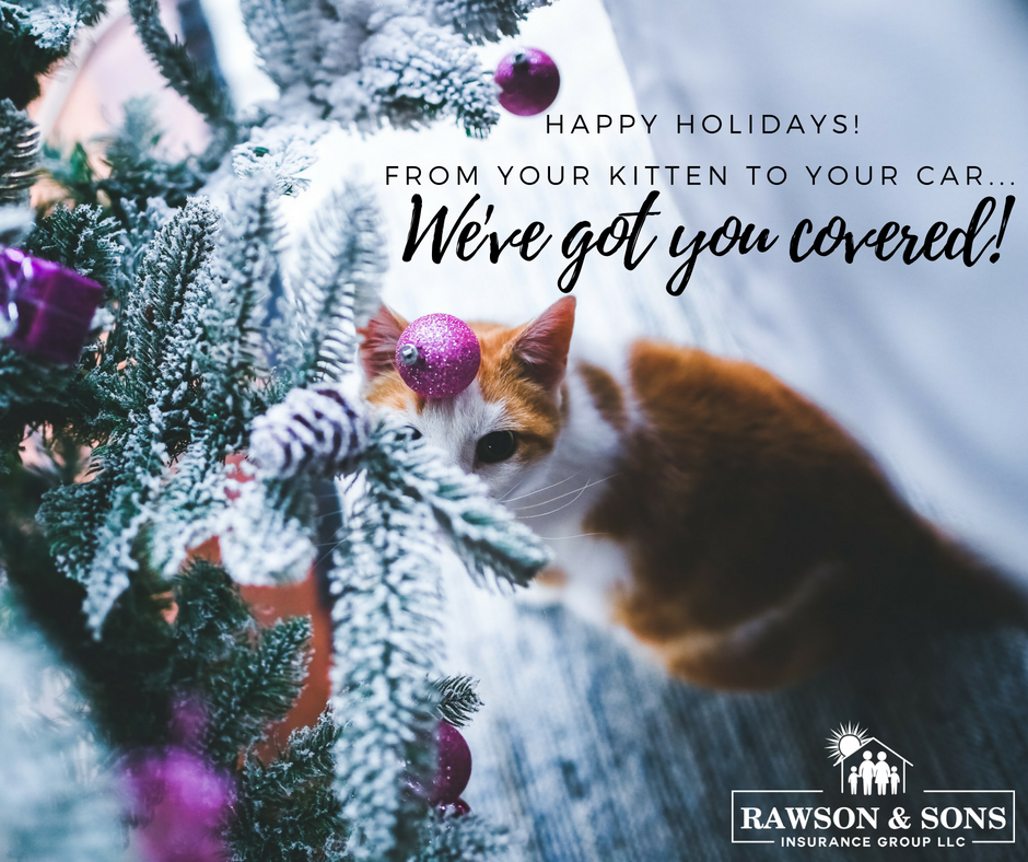 RawsonInsurance's tweet image. Happy holidays, from our family to yours! We've got you covered this winter!